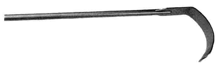 STERNAL EKARTÖR BLEYDİ